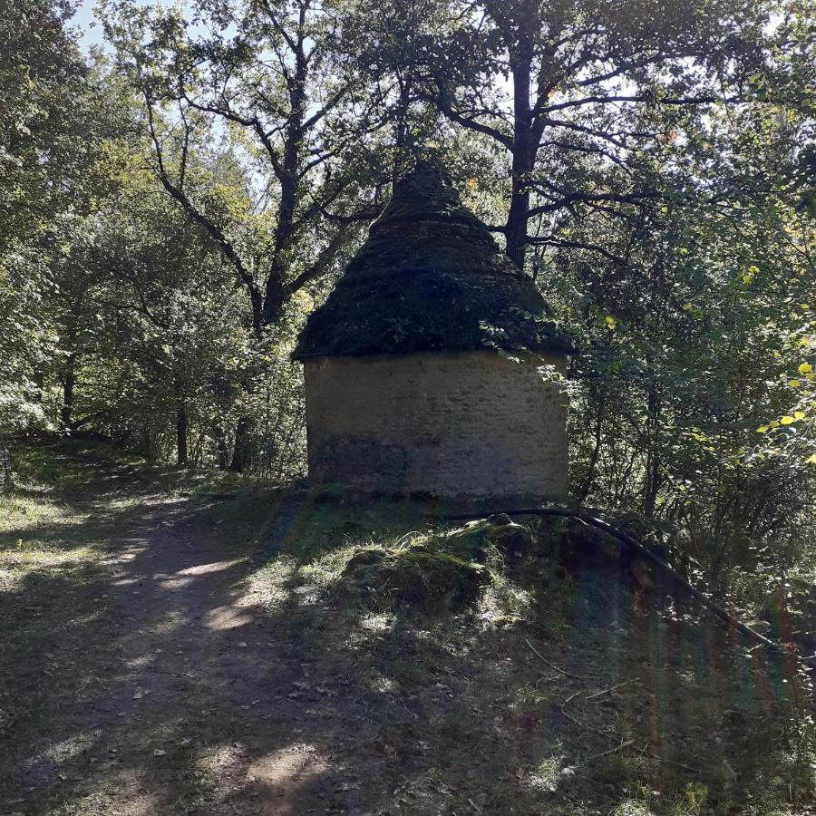 Le Manoir De Carlucet Gite Saint-Crépin-et-Carlucet المظهر الخارجي الصورة