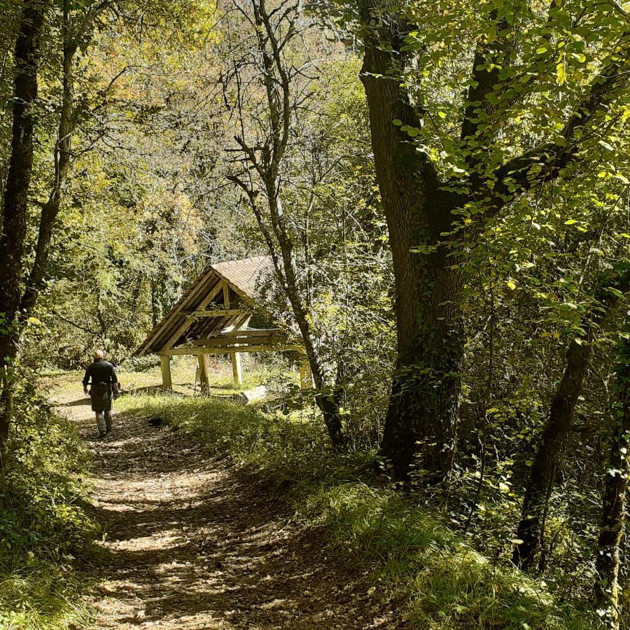 Le Manoir De Carlucet Gite Saint-Crépin-et-Carlucet المظهر الخارجي الصورة